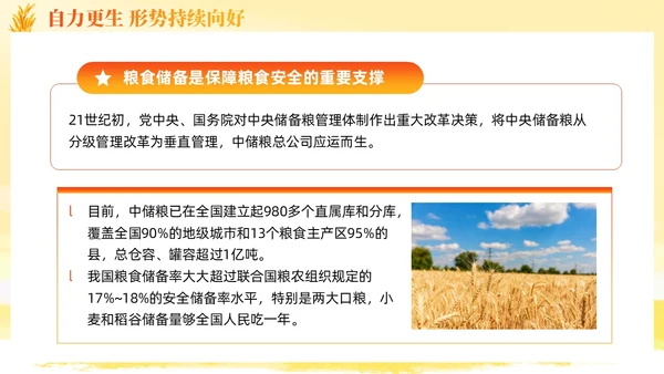大学生形势与政策保障粮食安全的中国策ppt课件党建