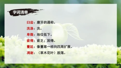 第16课 散文二篇 《永久的生命》课件