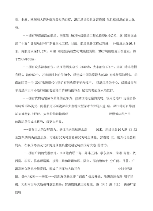 湛江替代石油能源公司万吨二甲醚项目建议书