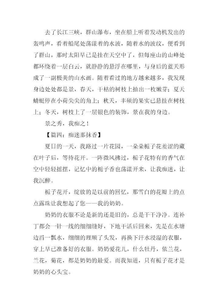 痴迷话题作文.docx