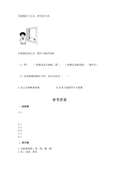 教科版科学一年级上册第一单元《植物》测试卷精品【基础题】.docx