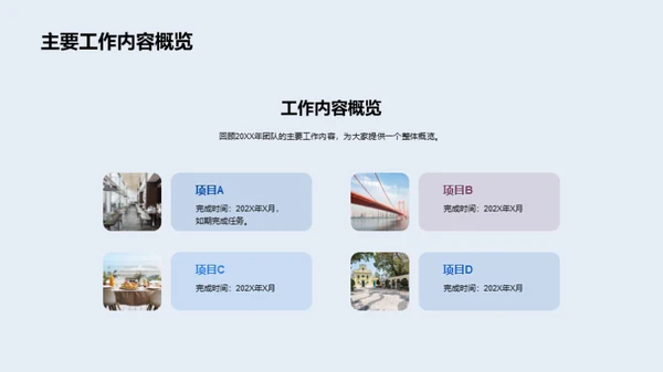 团队年度成就与展望