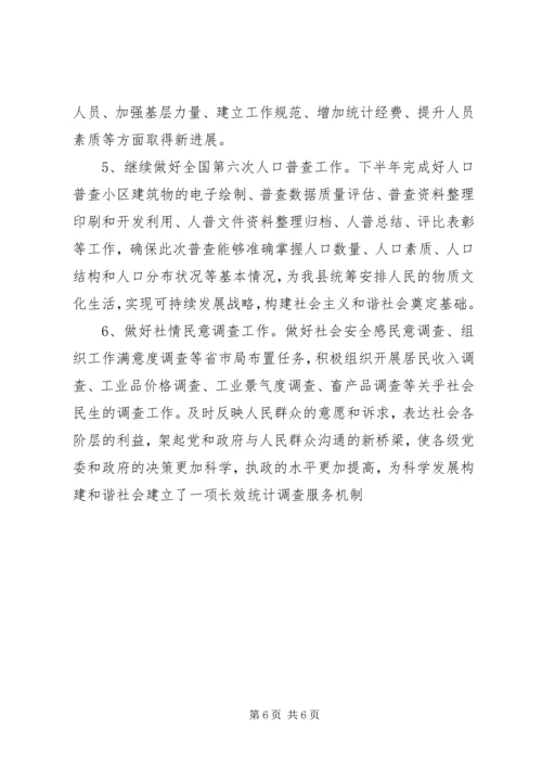 统计工作半年度总结及安排.docx