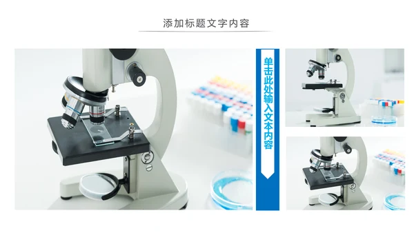 简约医疗生物基因研究动态PPT模板