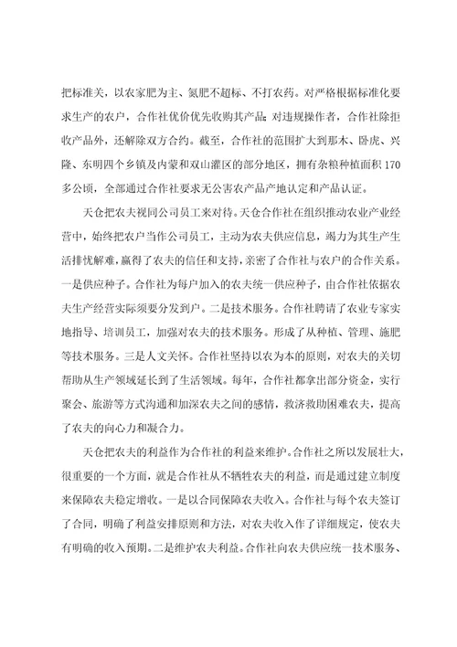 杂粮种植专业合作社调查报告