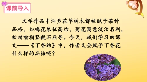 2 丁香结  课件