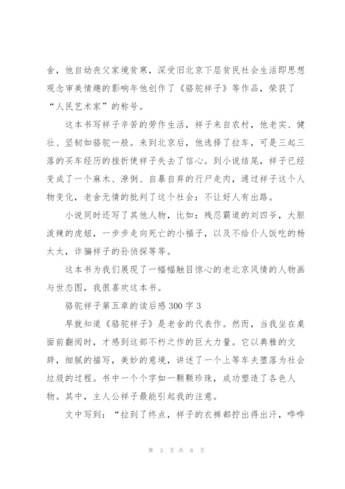 骆驼祥子小说第五章的读后感300字5篇.docx