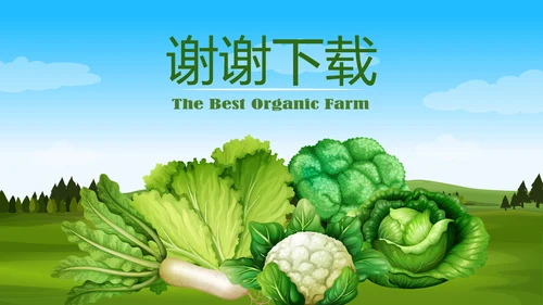 绿色有机蔬菜动态PPT
