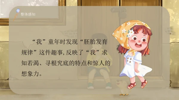 23 童年的发现（课件）
