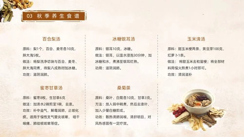 棕色简约中国风实拍笔刷秋季养生中医养生动态PPT