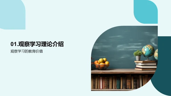 深化观察学习理解