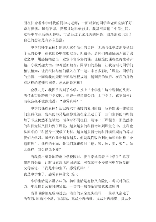 我是中学生了,感觉真棒作文