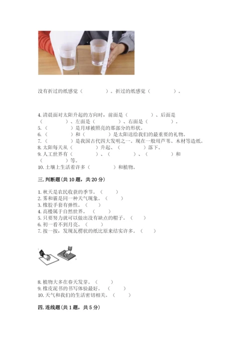 教科版二年级上册科学期末测试卷含答案（培优a卷）.docx