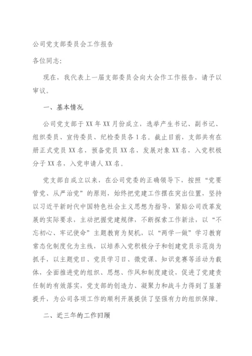 公司党支部委员会工作报告.docx