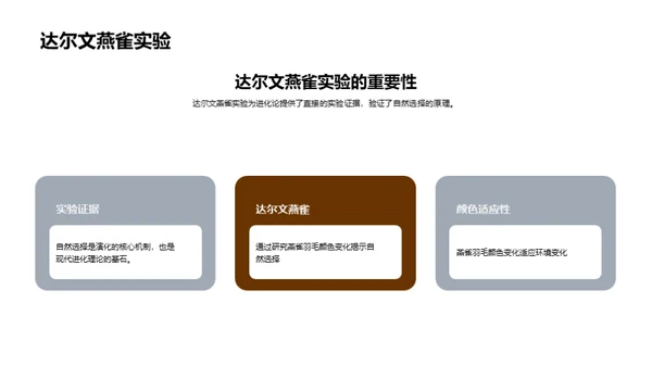 高中生物进化论