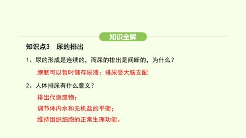 第四单元-第五章-人体内废物的排出课件-2024-2025学年七年级生物下学期人教版(2024)(共
