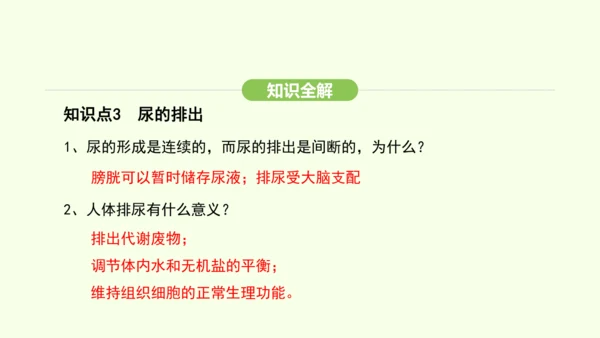 第四单元-第五章-人体内废物的排出课件-2024-2025学年七年级生物下学期人教版(2024)(共