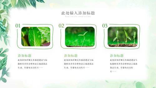 植物生长绿芽小树苗生长发芽成长ppt模板