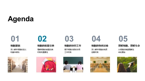细胞学入门