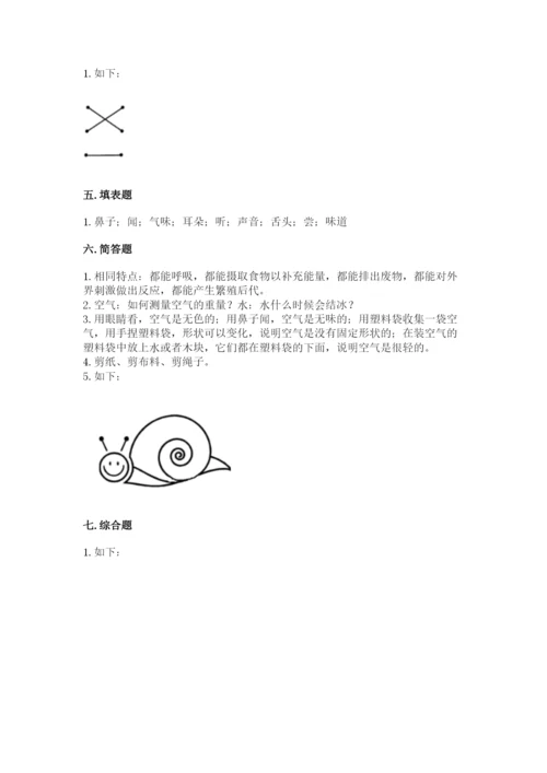 教科版小学科学一年级下册期末测试卷含答案ab卷.docx