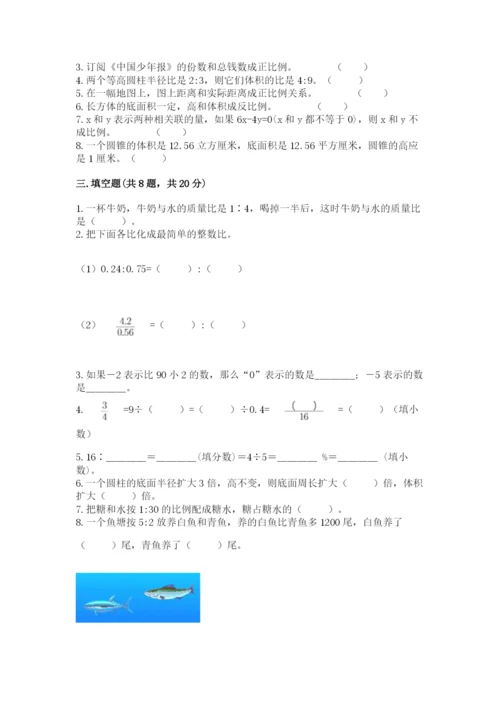 六年级下册数学期末测试卷带答案（轻巧夺冠）.docx