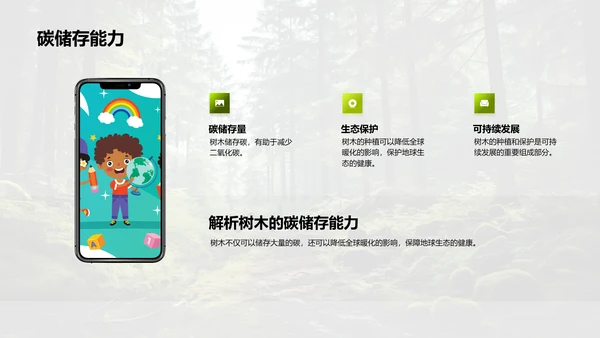 树木的生态密码
