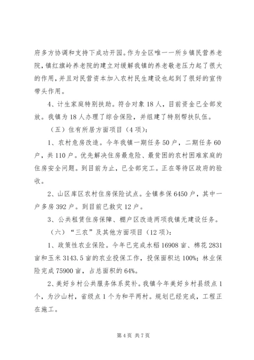 乡镇年度民生工程实施工作总结.docx