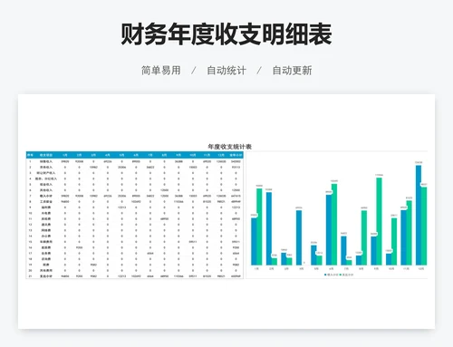 财务年度收支明细表
