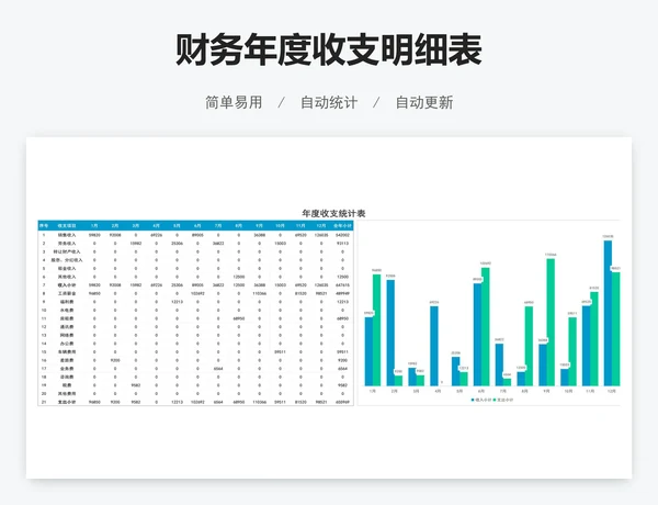 财务年度收支明细表