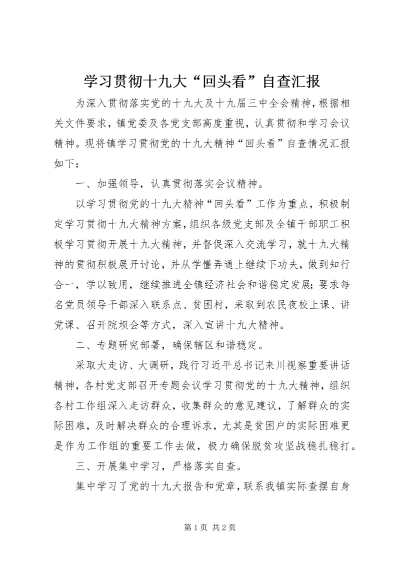 学习贯彻十九大“回头看”自查汇报.docx