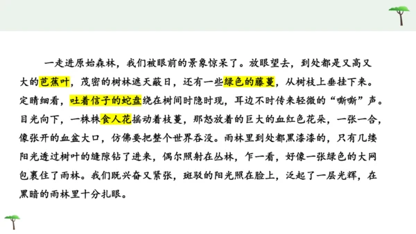 部编版语文五下第六单元习作神奇的探险之旅  课件