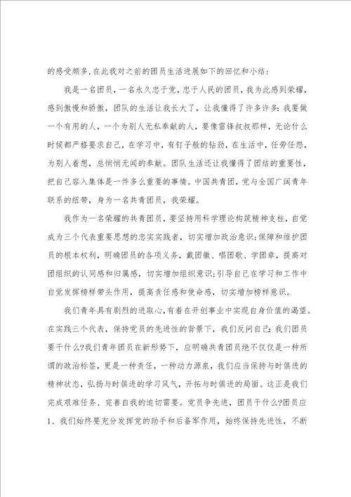 团员个人团工作总结5篇