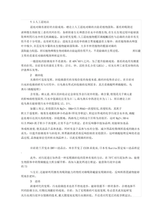 污水处理中的化学除磷的工艺和方法20220302180032