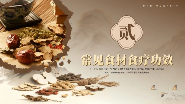 棕色国风冬季养生PPT模板