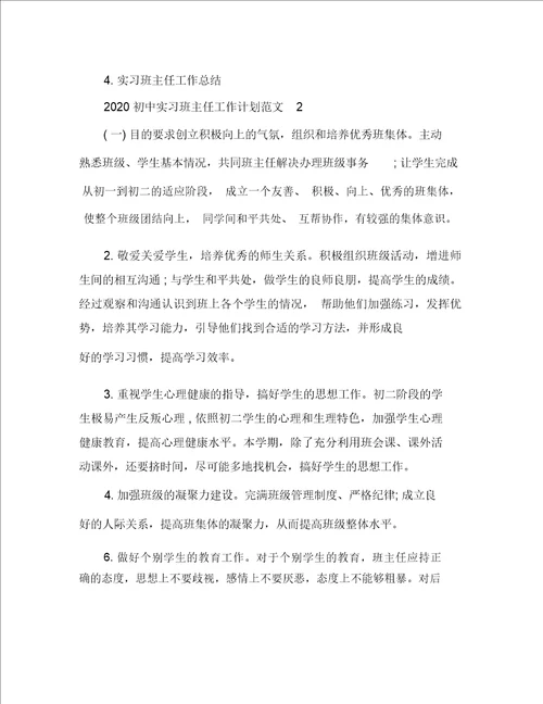 2020年初中实习班主任工作计划