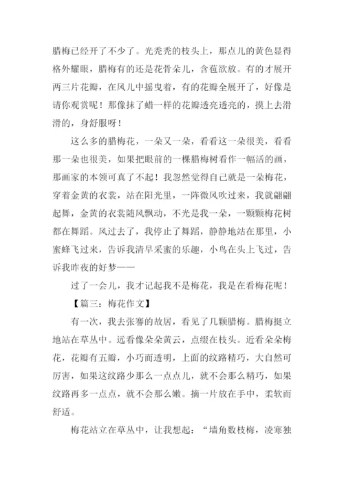 梅花作文300字三年级.docx