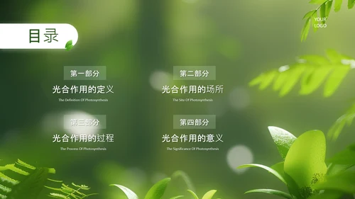 绿色清新风植物的光合作用PPT模板