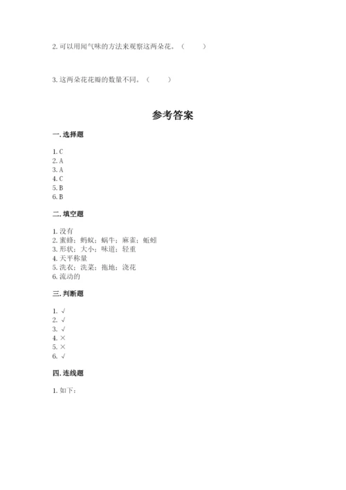 教科版小学科学一年级下册期末测试卷及参考答案（轻巧夺冠）.docx