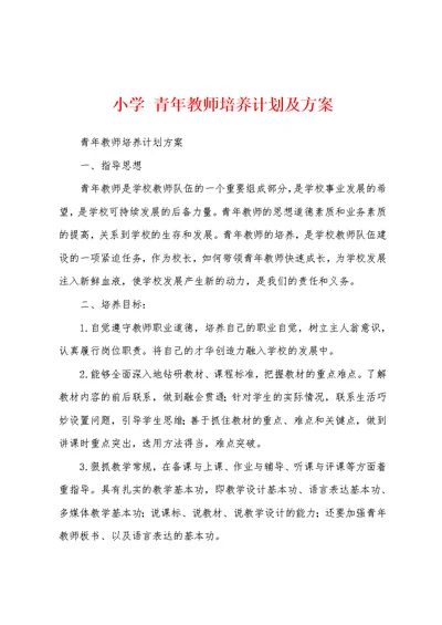 小学 青年教师培养计划及方案