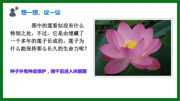 人教版（2024）七年级上册2.1.2 种子植物 课件(共32张PPT)+视频素材