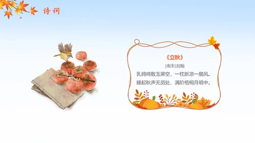 简约插画枫叶立秋二十四节气立秋科普知识科普PPT