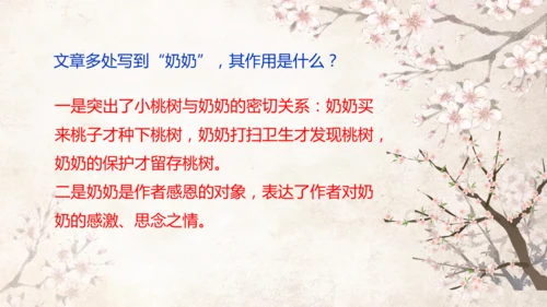 第19课 一棵小桃树 课件(共24张PPT)
