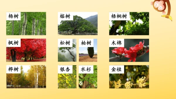 识字2 树之歌  课件