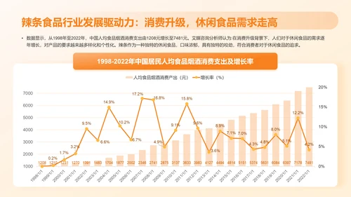 2023年中国辣条食品行业创新及消费需求洞察报告PPT