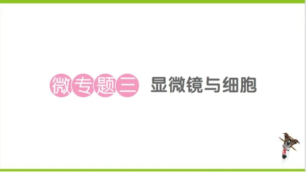【掌控课堂-创优作业】人教版生物七(上)第二单元 第一章 细胞是生命活动的基本单位 微专题三 显微镜