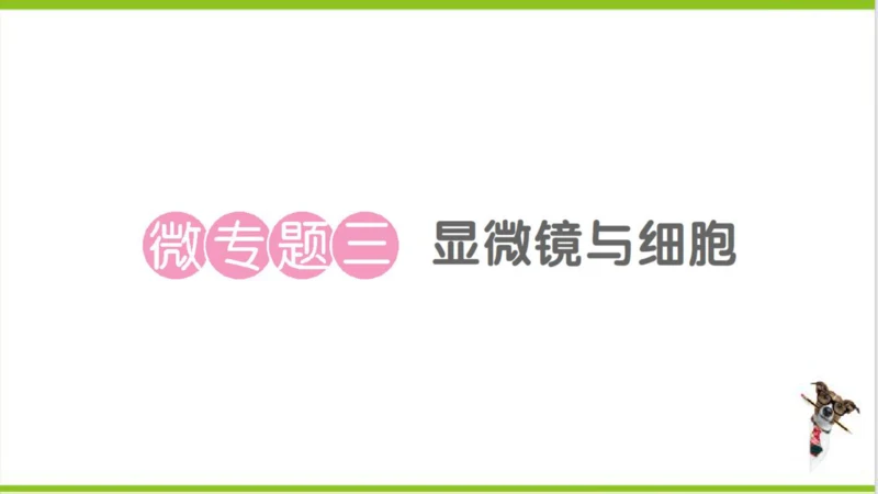 【掌控课堂-创优作业】人教版生物七(上)第二单元 第一章 细胞是生命活动的基本单位 微专题三 显微镜