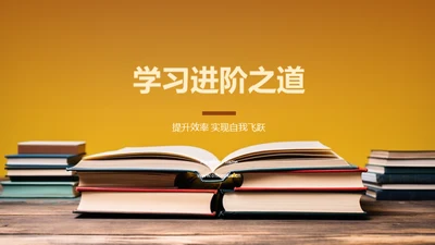 学习进阶之道