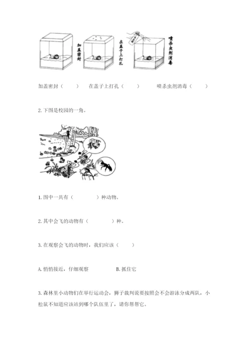 教科版一年级下册科学期末测试卷（重点班）.docx