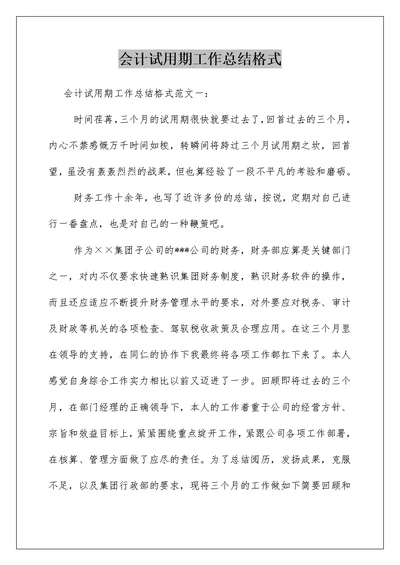 会计试用期工作总结格式
