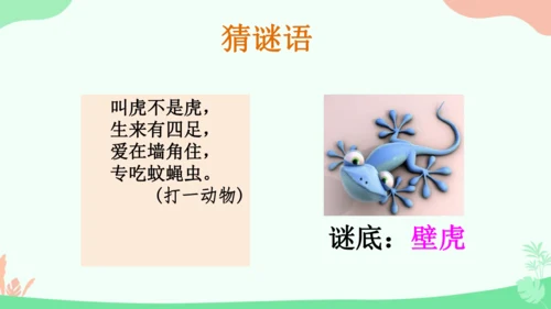 20 小壁虎借尾巴 课件